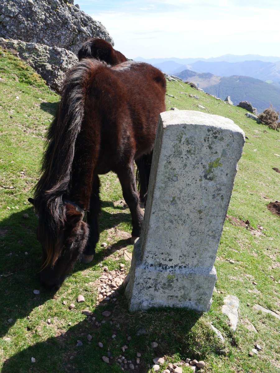 R24 mugarria Larrunen