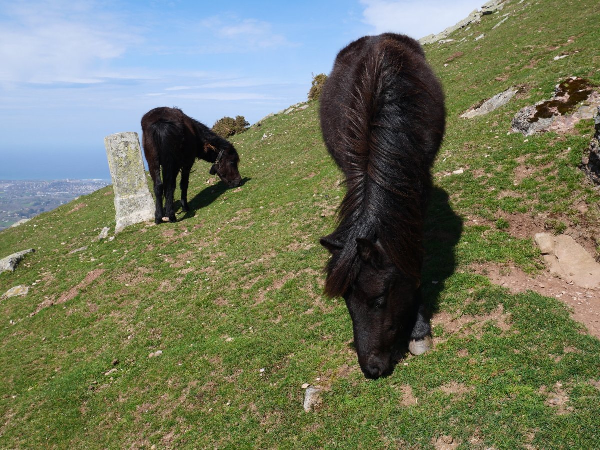 R24 mugarria Larrunen