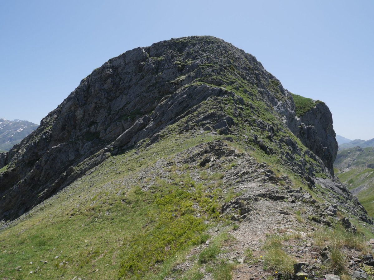 Cuyalaret tontorra IMtik