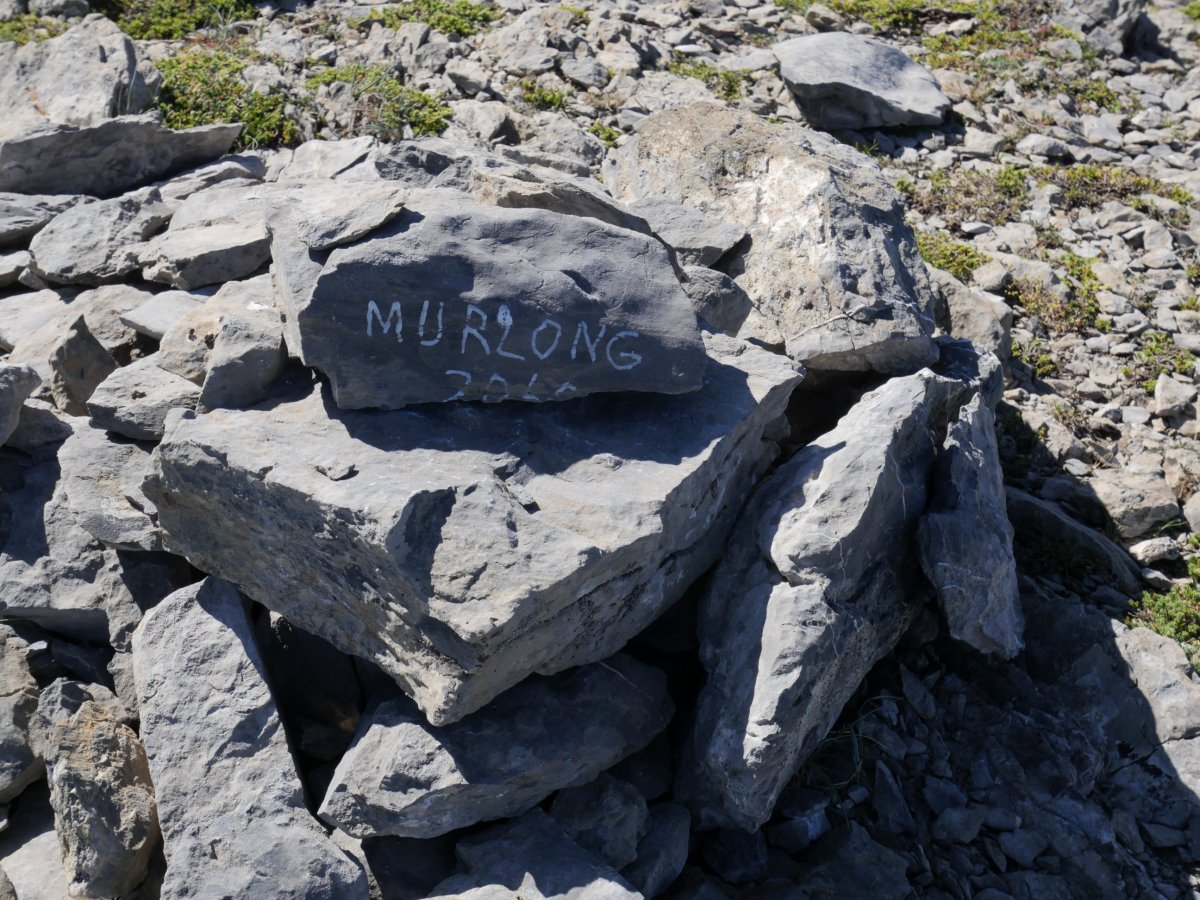 Tontorreko harripila, Murlong