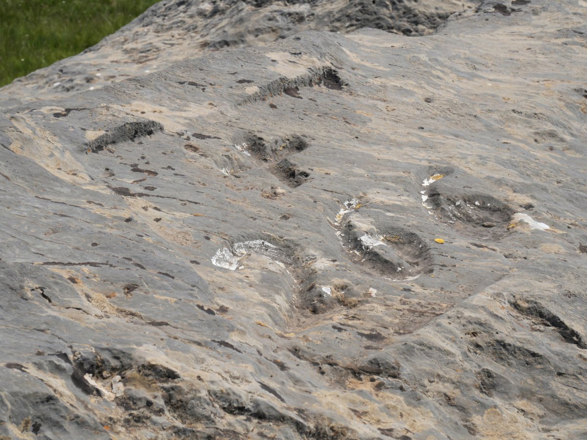 266. mugarria Portillo de Abajo lepoan