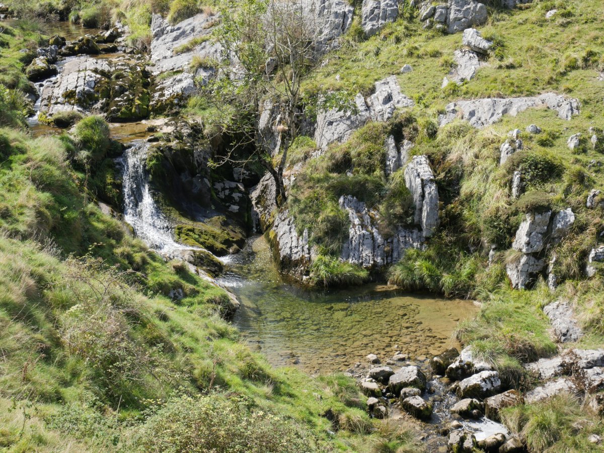 Arritzaga erreka Bokarte inguruan