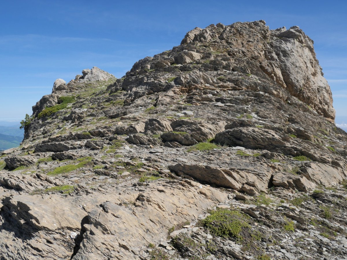 Tontorrerako azken txanpa hegoaldeko bizkarretik