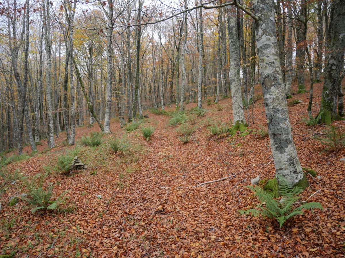 Serlo Gainetik ekialdera, pagadian barrena