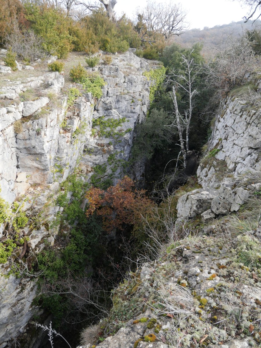 Obiarri gaina ebakitzen duen arrakala