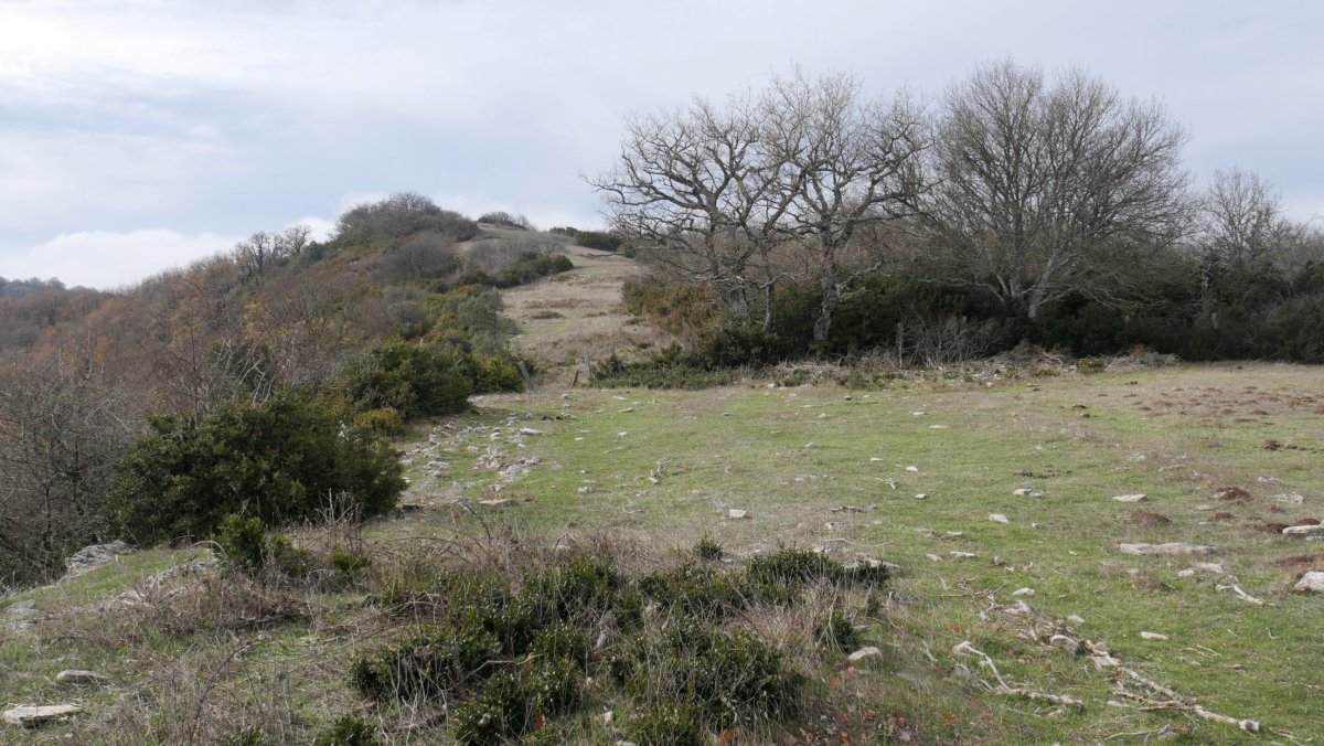 Garindo, ekialdeko bizkarreko pasarte bat