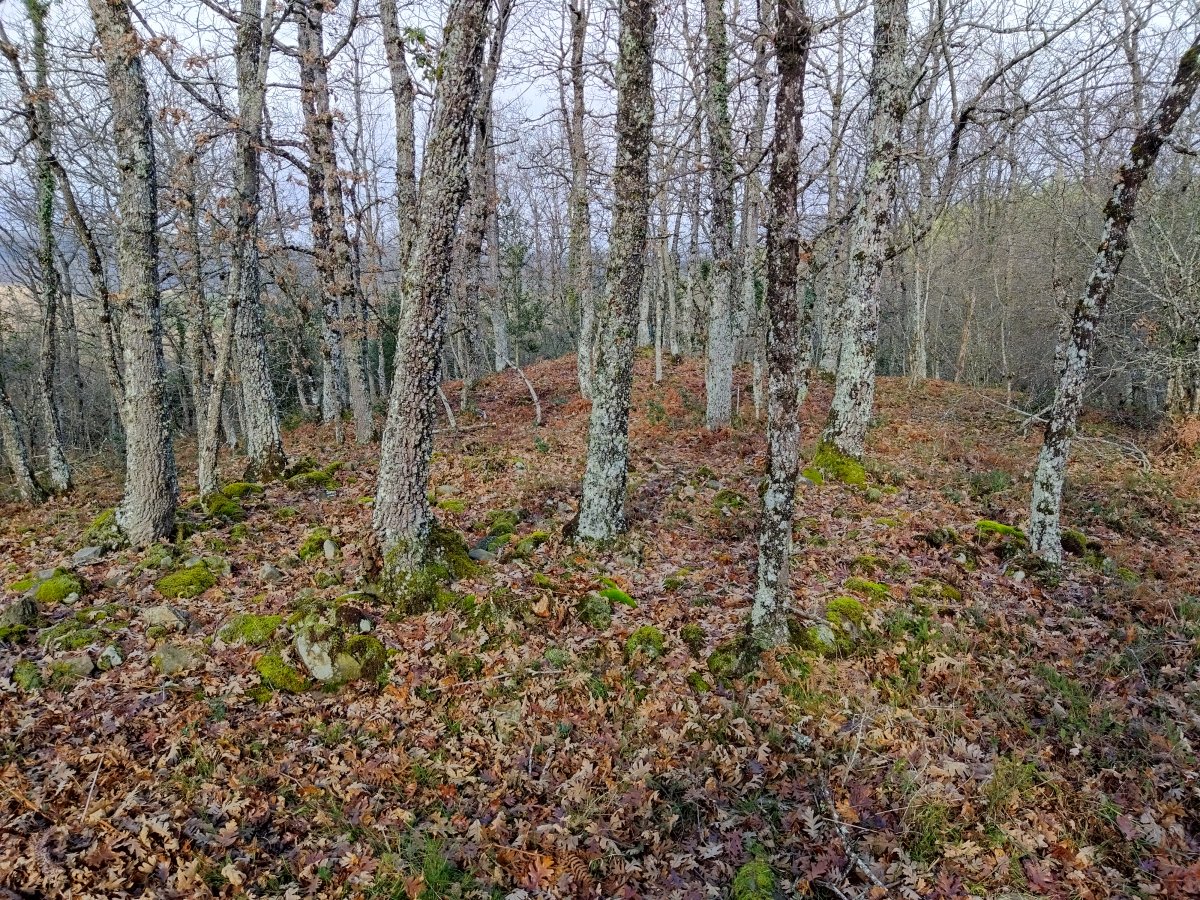 Peskegi 1 eta atzekaldean Peskegi 2