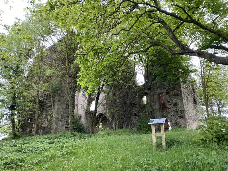 Andre Mariaren Sorkundearen Eliza. Legutio (Nafarrate)