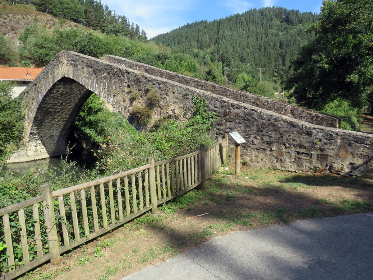 Otazuko zubia, Luiaondo-Aiara