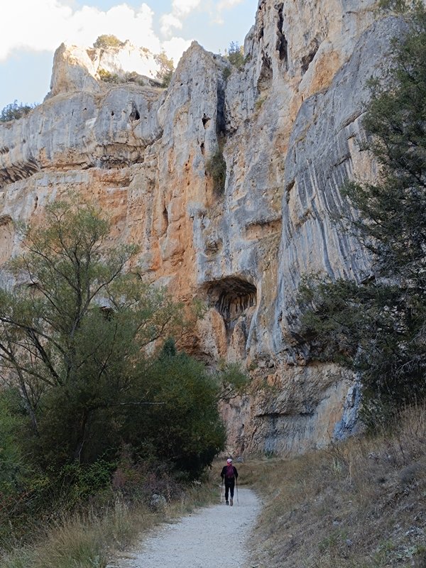 Lobos Ibaiaren Arroila