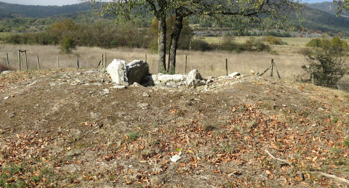 San Sebastian Ipar trikuharria, Anda Kuartango