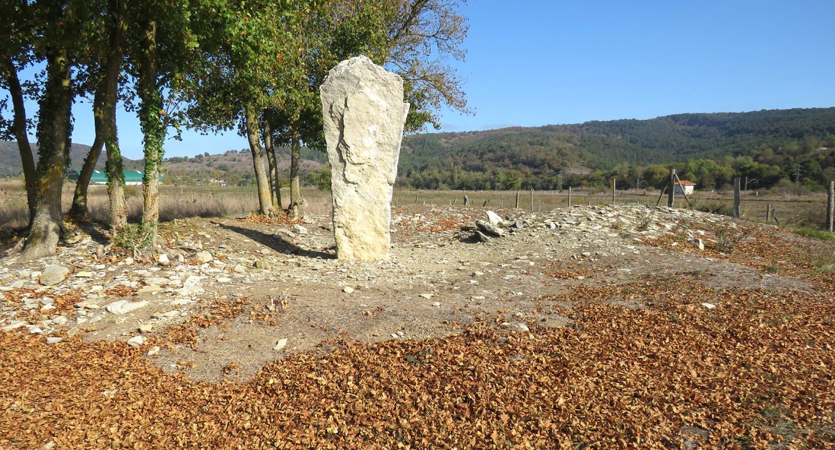 Gurpide Norte trikuharria, Katadiano-Kuartango