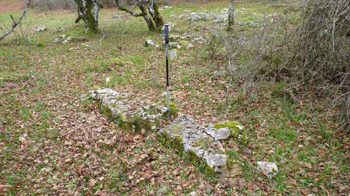 ZALBIDE NORTE. 23 de noviembre de 2024