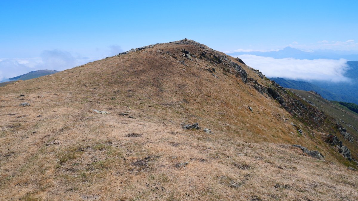 Txangoa tontorra mendebaldetik