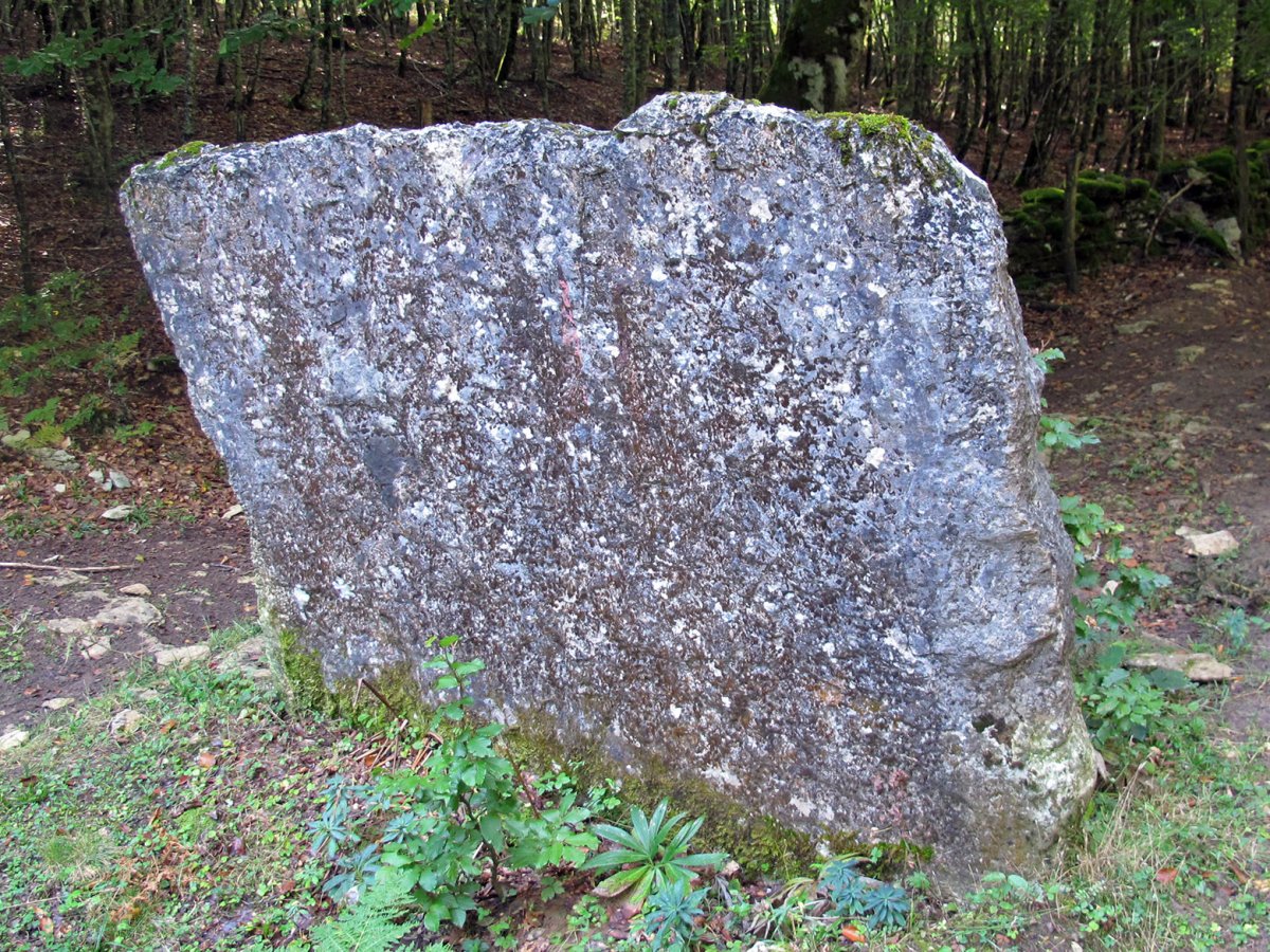 La Txila zutarria, Abartzuza