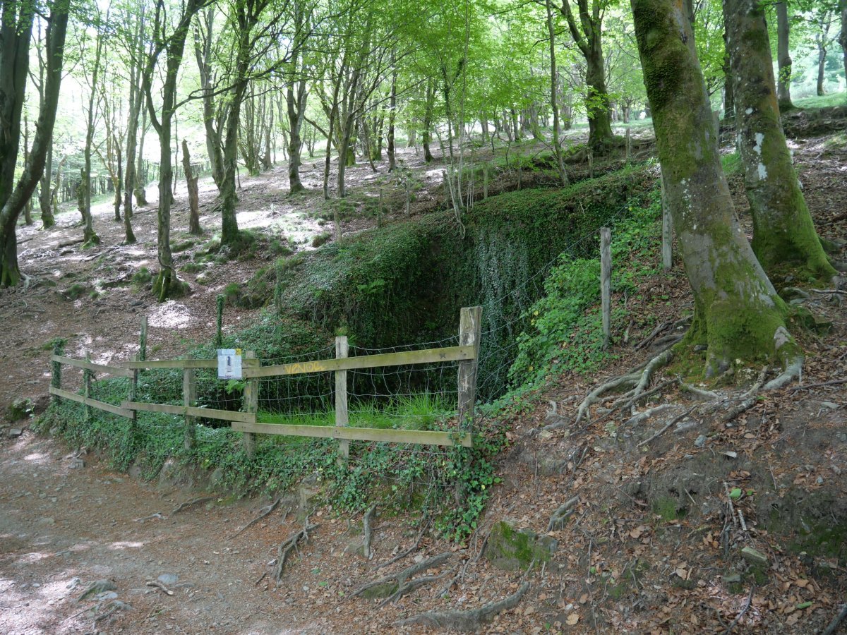 Elurretxeko elurzuloa