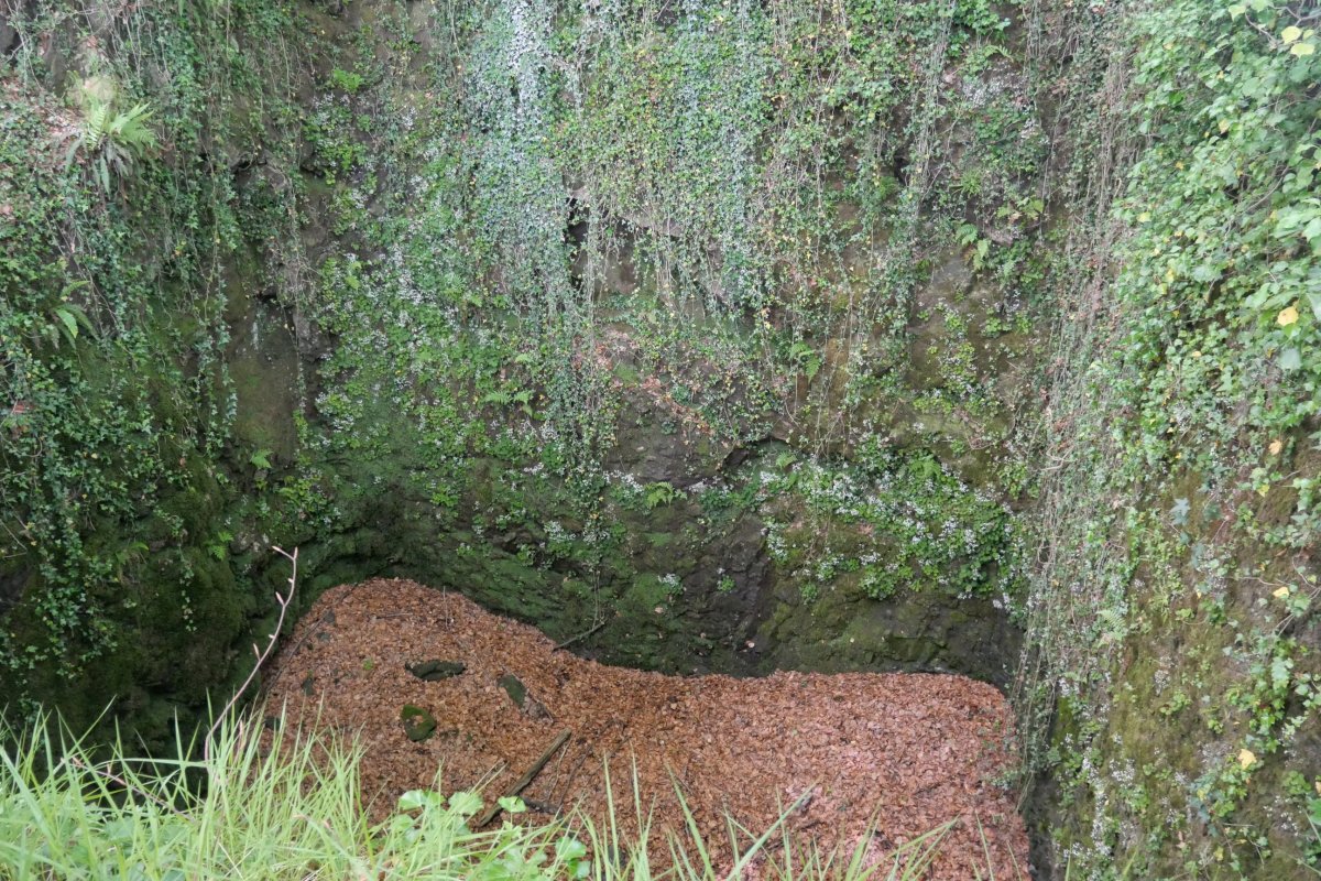 Elurretxeko elurzuloa