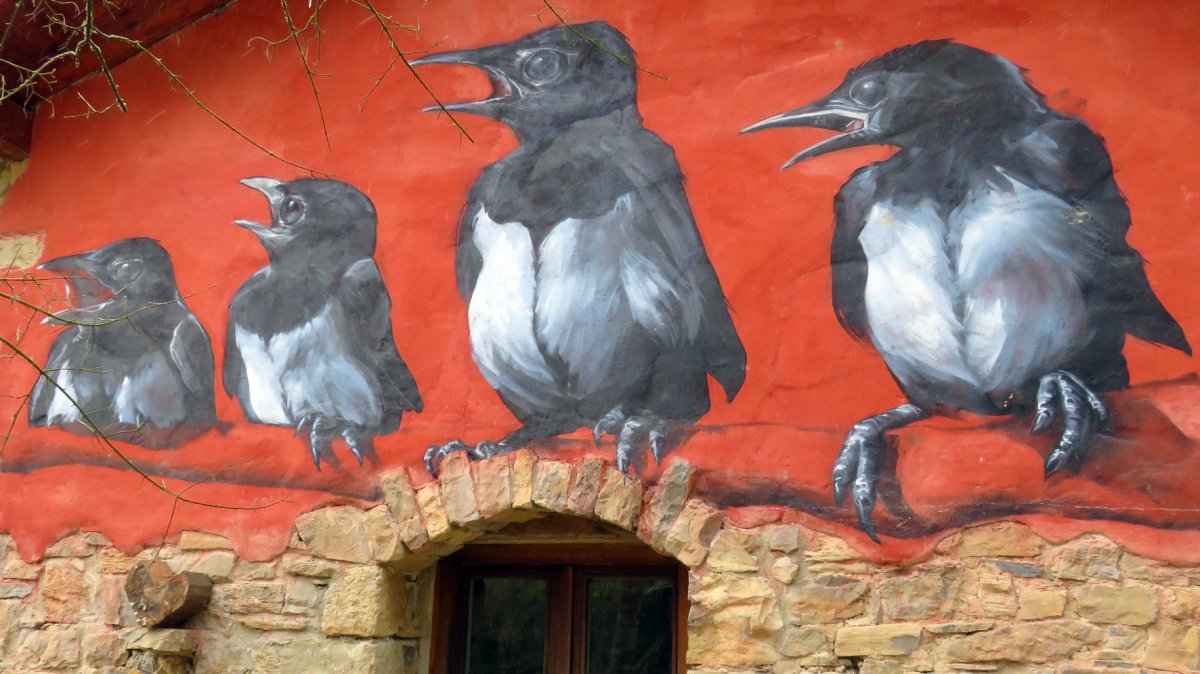 Etxe bateko margoa, Zazpe-Artzibar