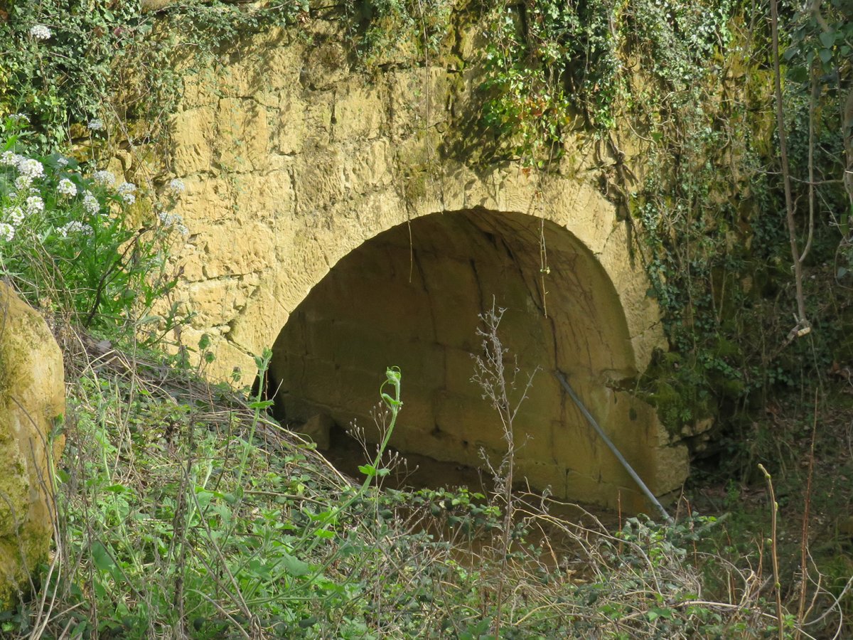 Suso errotako zubia, Bastida