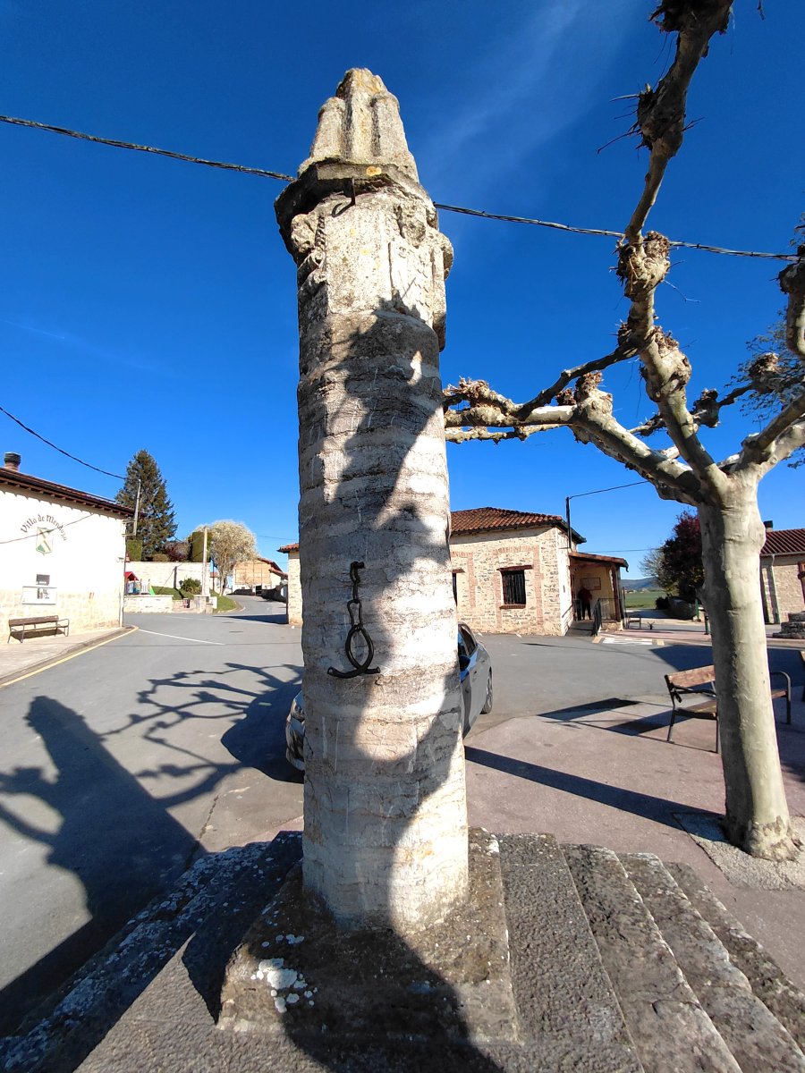 Mendozako Pikota. Gasteiz (Mendoza)