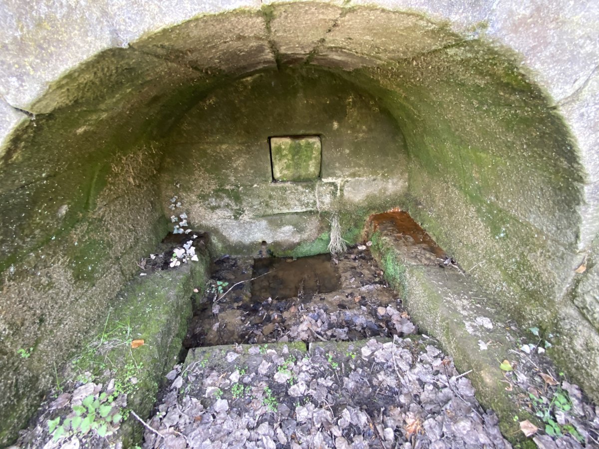 Erromatar Iturria. Donemiliaga (Galarreta)