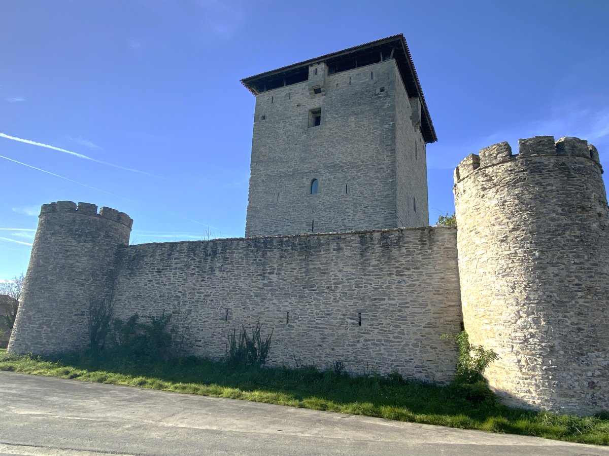 Mendozatarren Dorrea. Gasteiz (Mendoza)