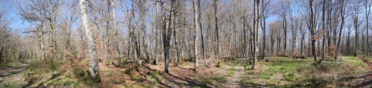 Beuntzako Gaina (mendebaldeko muinoa)