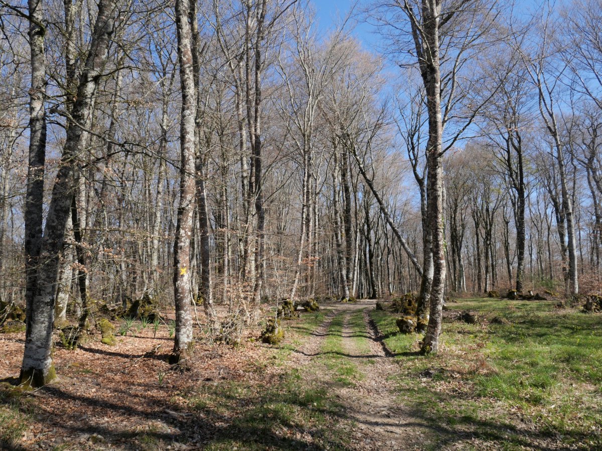 Beuntzako Gaina (mendebaldeko muinoa)