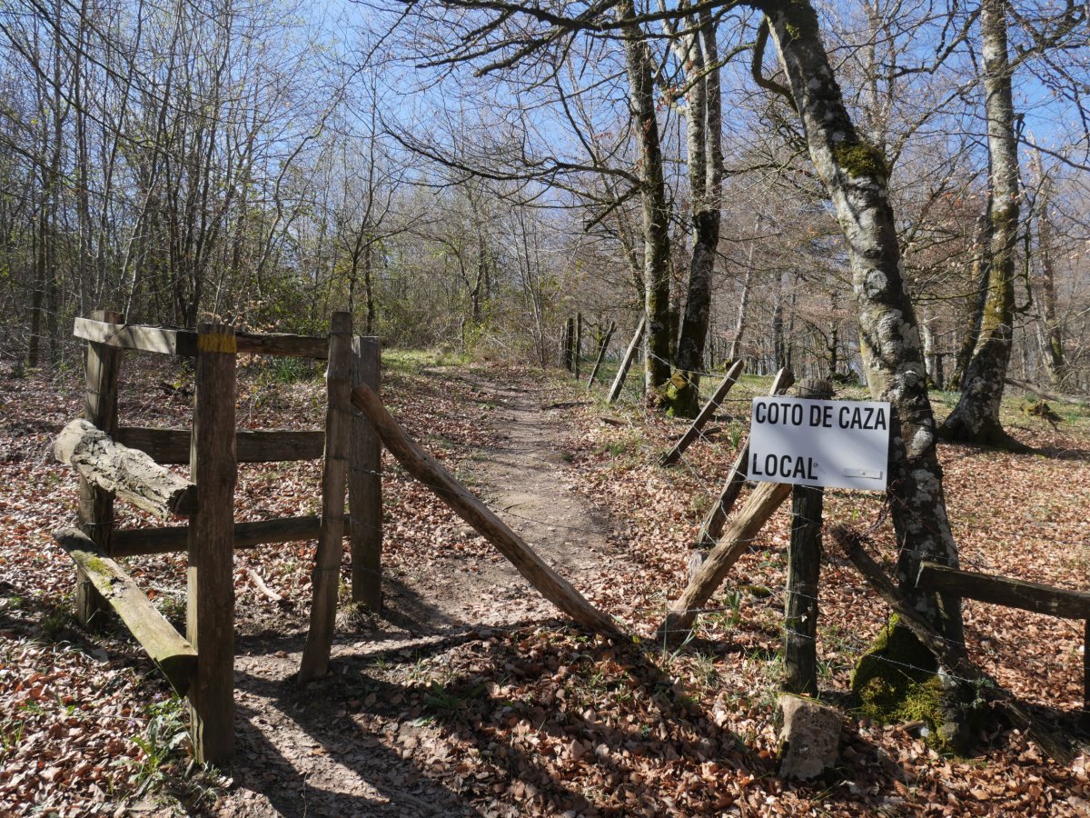 Arraldegaña tontorrera gerturatzen