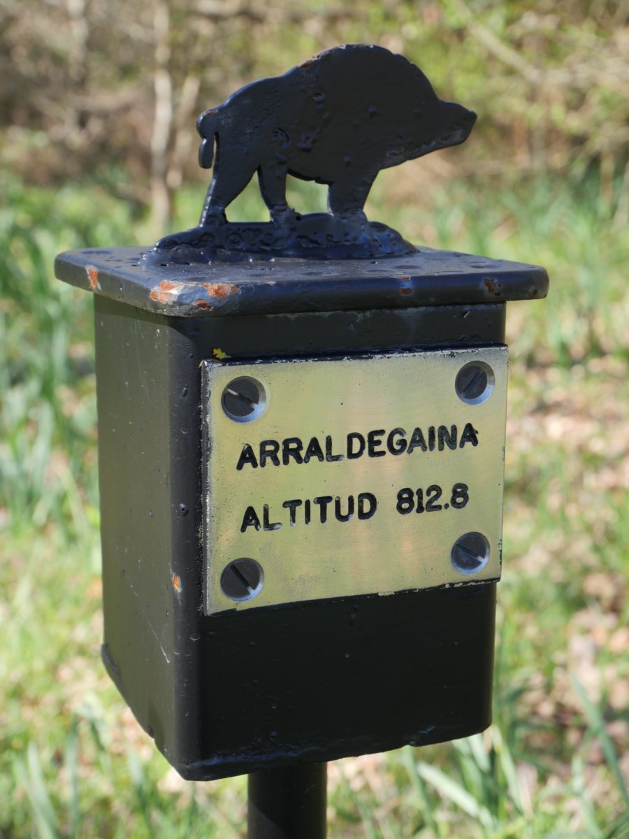 Txartelontzia, Arraldegaña
