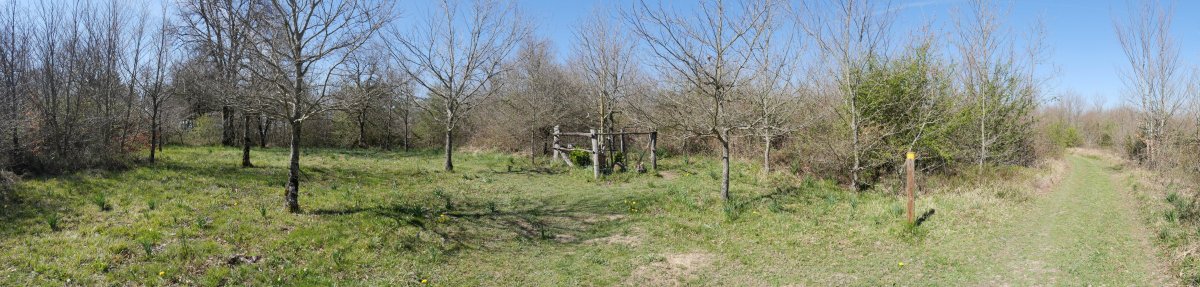 Arraldegaña gailurra