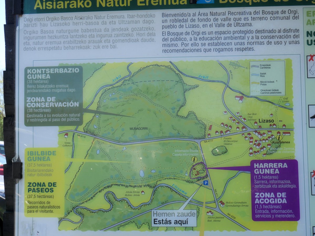 Orgiko basoa, informazio panela