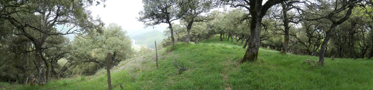 Iparraldeko muturrera doan bidea, Illunbeta