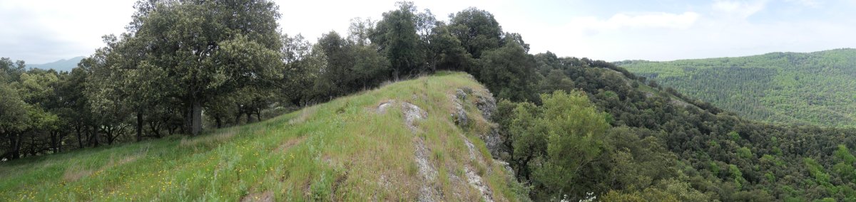 Illunbeta, Iparraldeko bizkarreko talaia