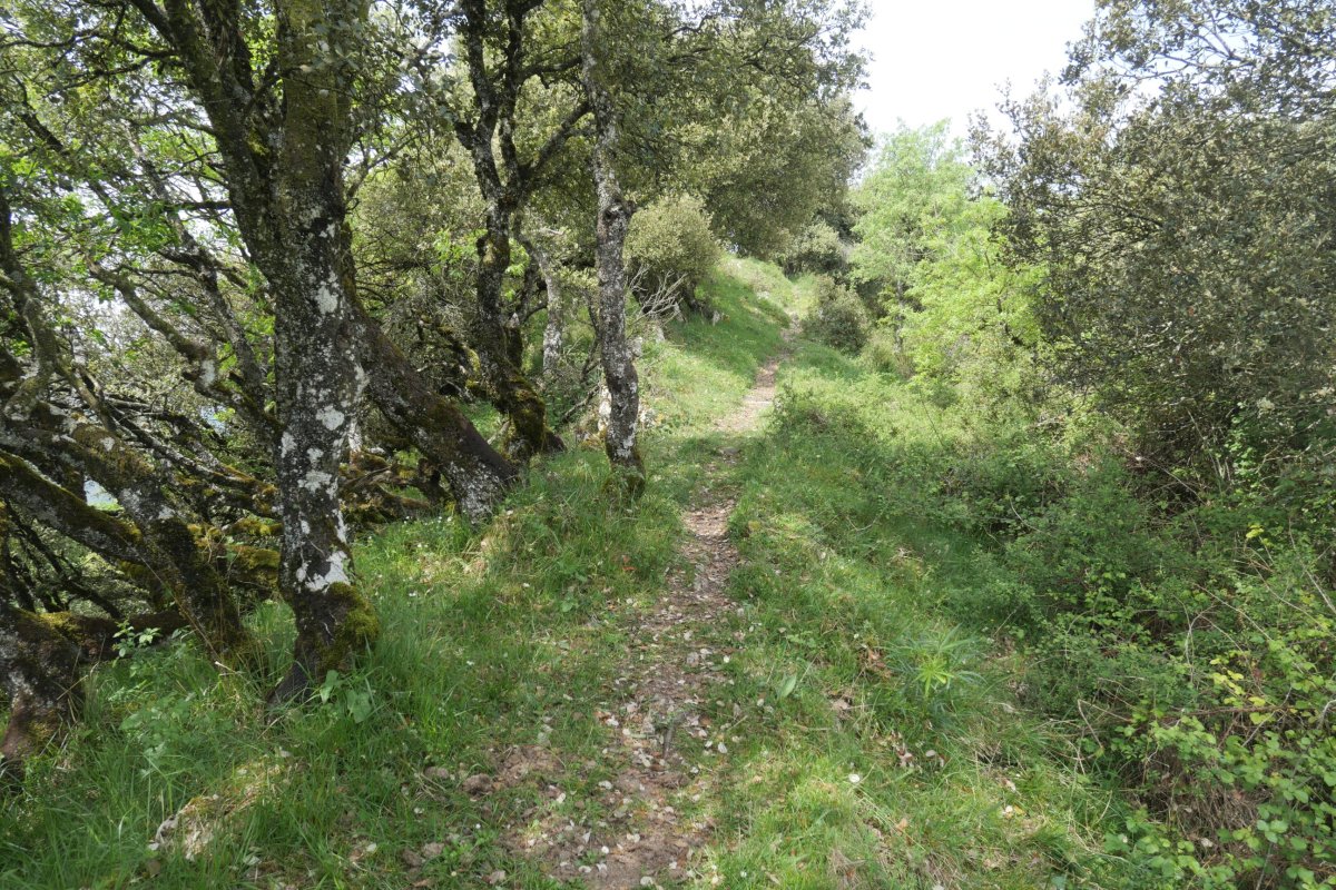 Bizkaiko ekialdeko bizkarreko bidea