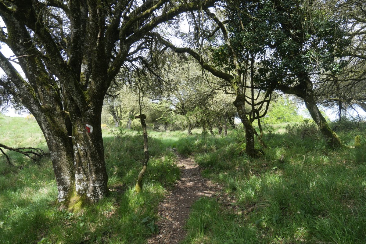 Peña del Mayoko bidegurutzea, GRaren arrastoa Atondo aldera jaisten da