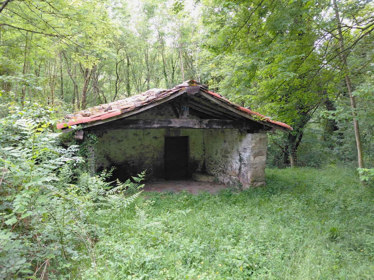 Ripatxo Errota. Amurrio (Delika)