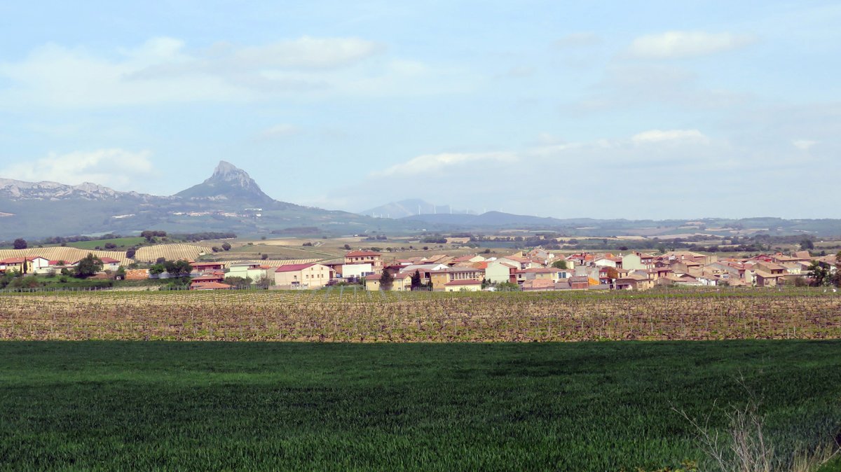 Bilar