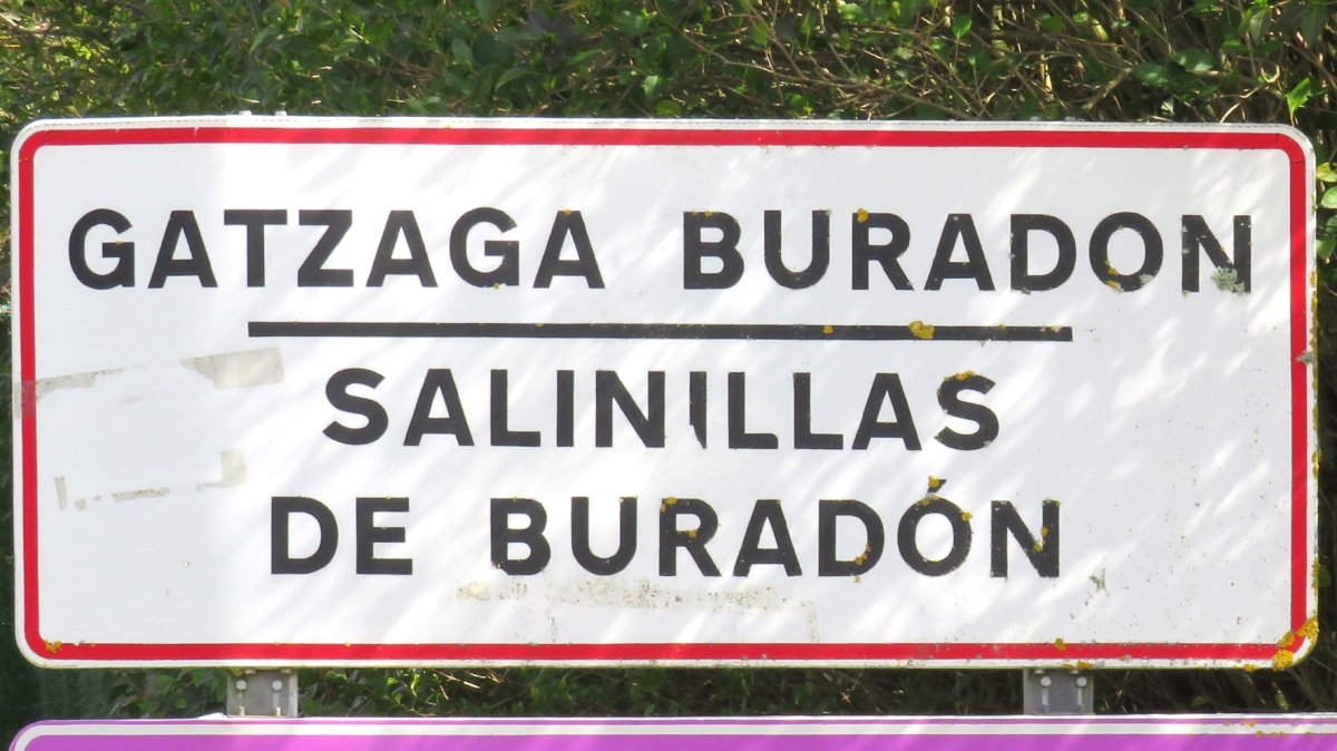 Gatzaga Buradon, Bastida