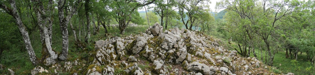 Tontorra