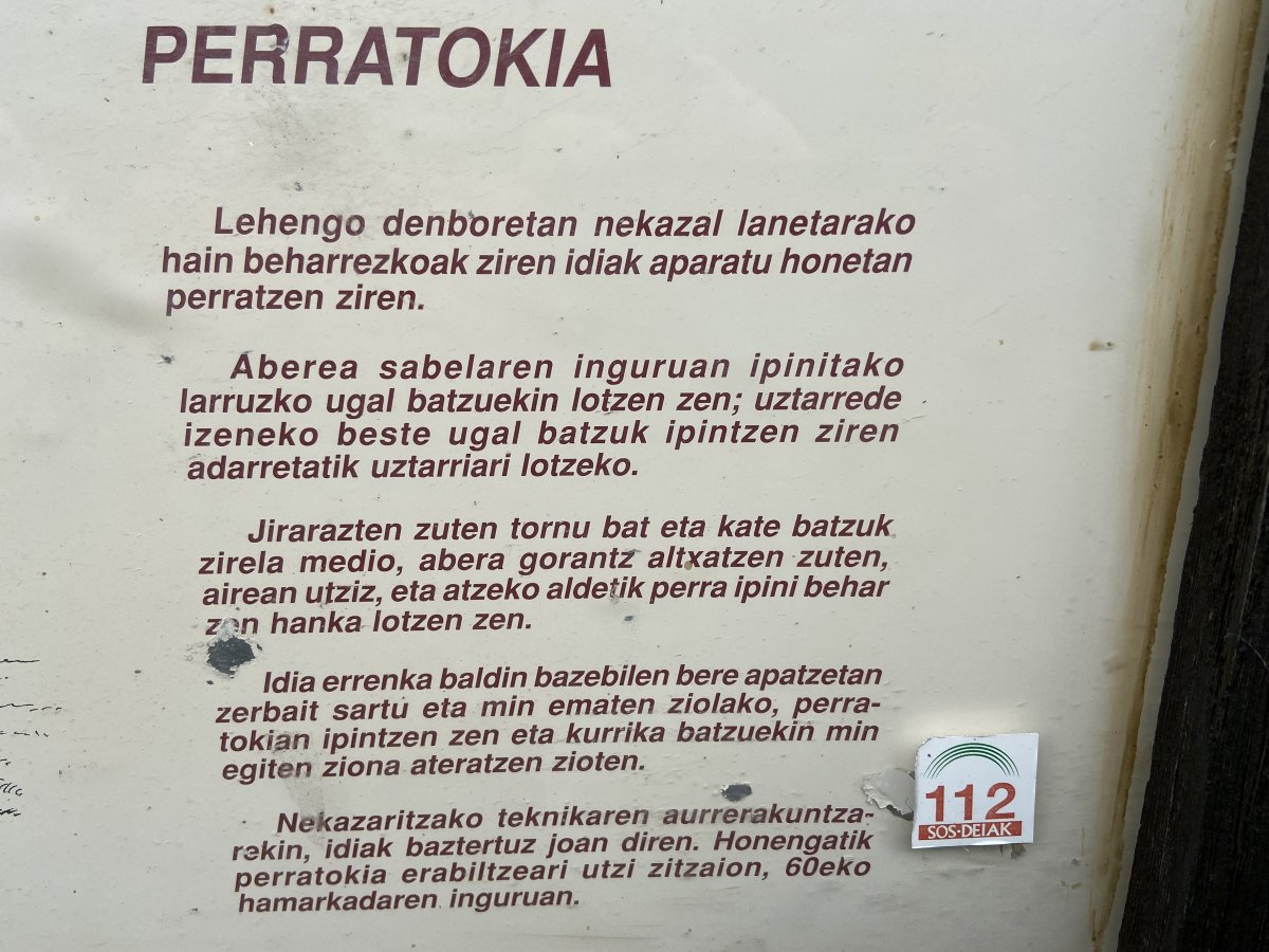 Perratokia. Gaubea (Lalastra)