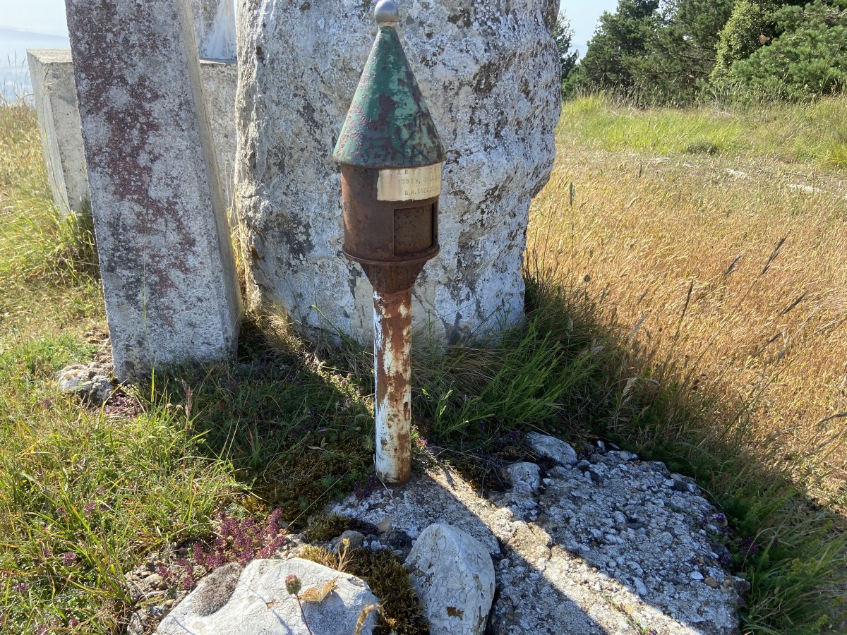 Buzoia
