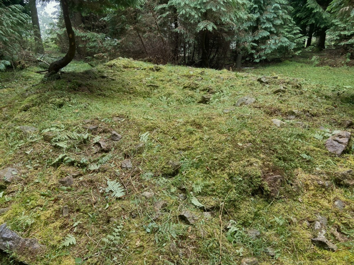 Elgea I Trikuharria