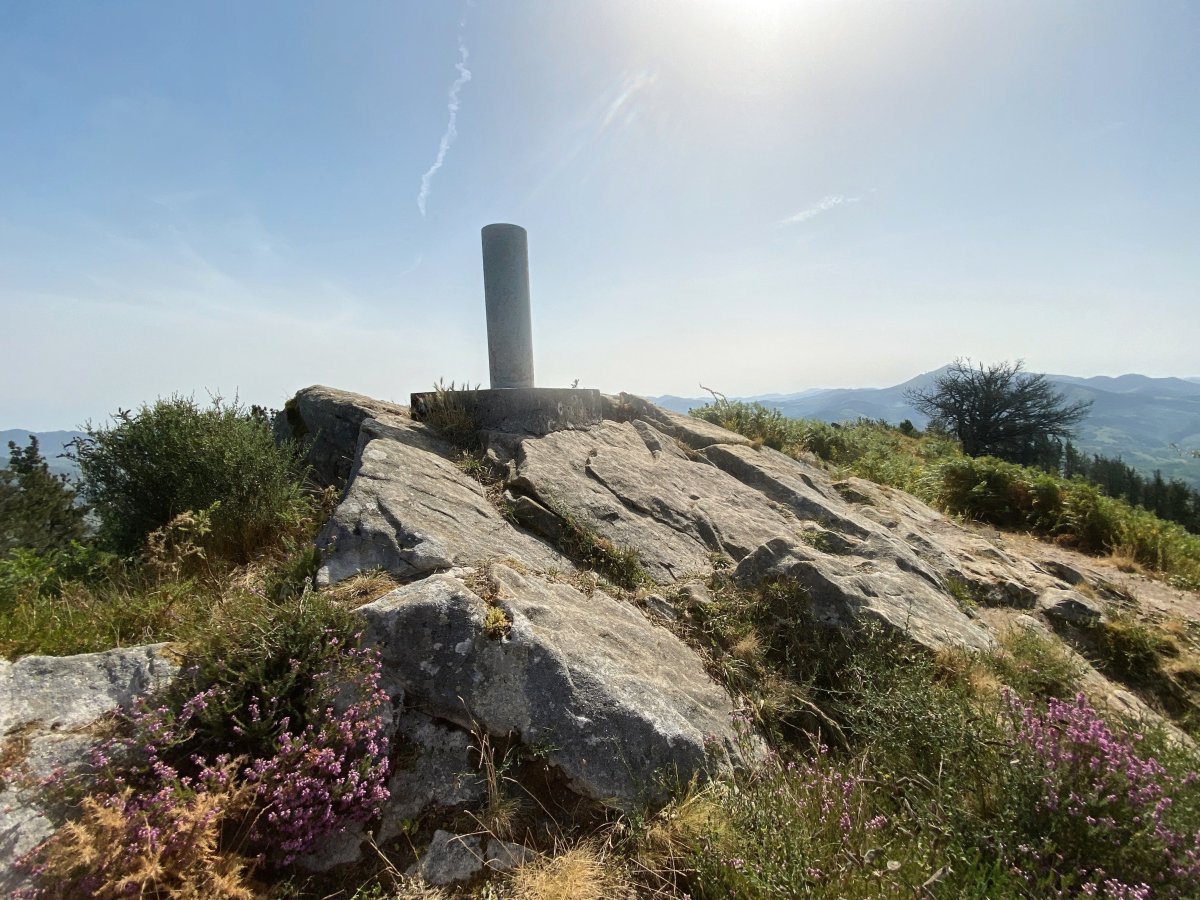 Tontorra