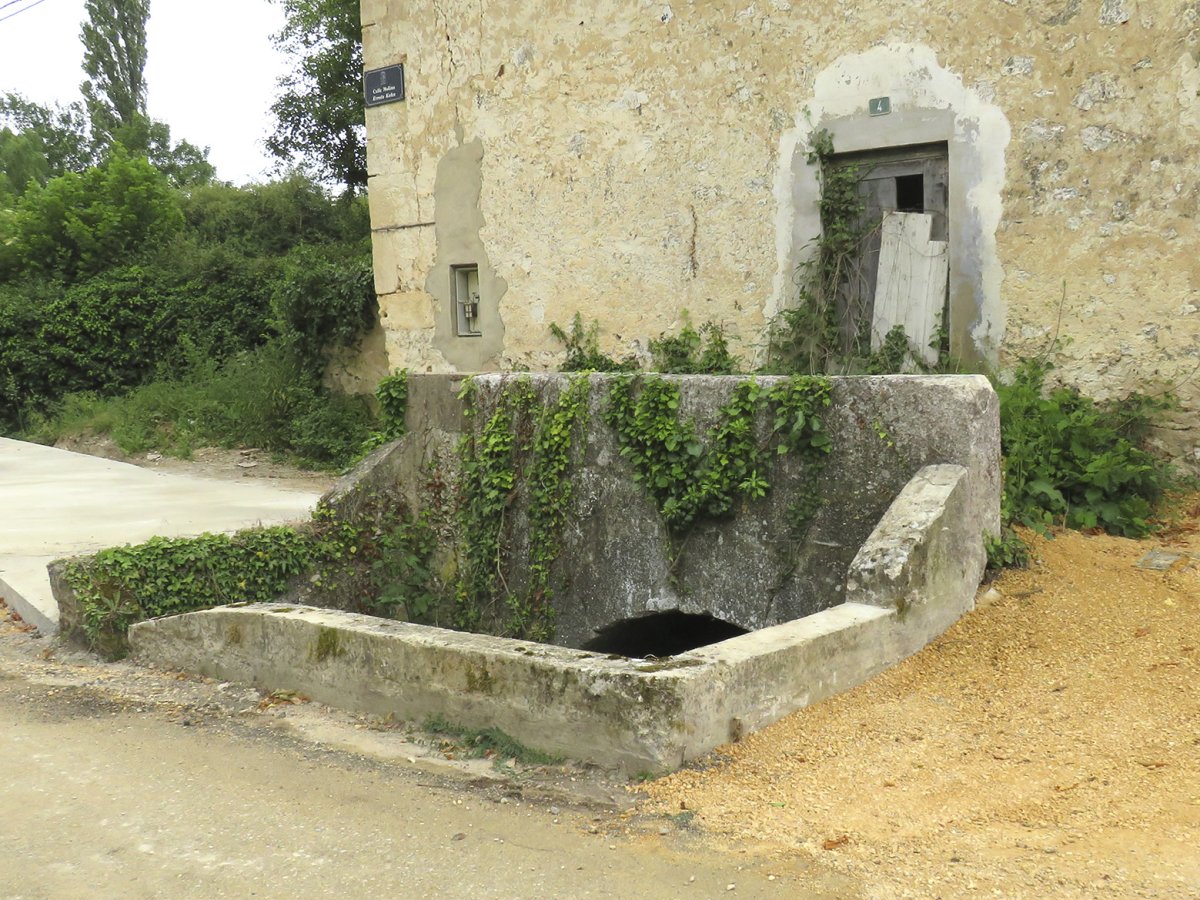 Maestu errota, Maeztu-Arraia maeztu