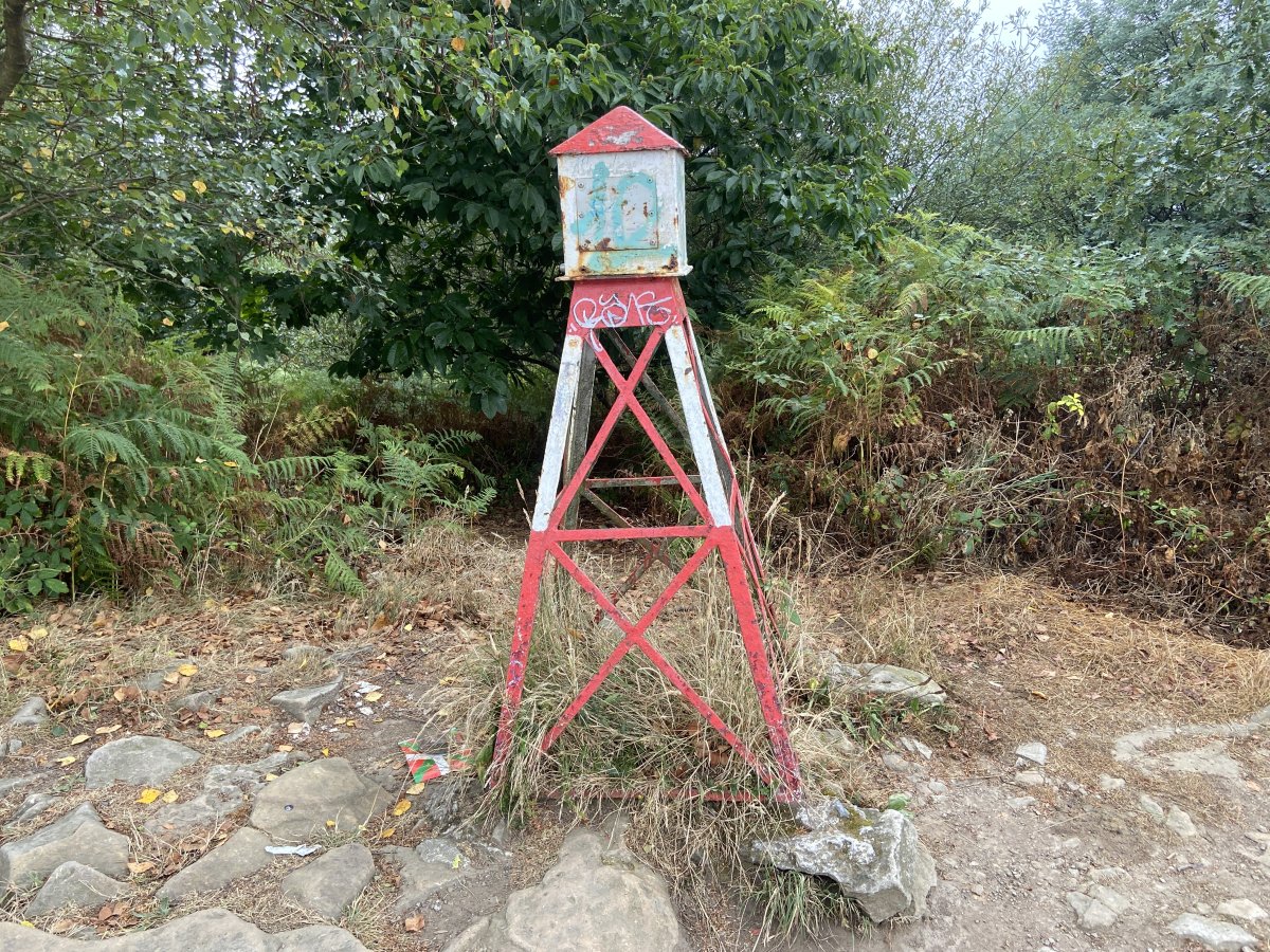 Buzoia