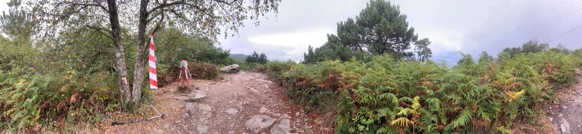 Tontorra