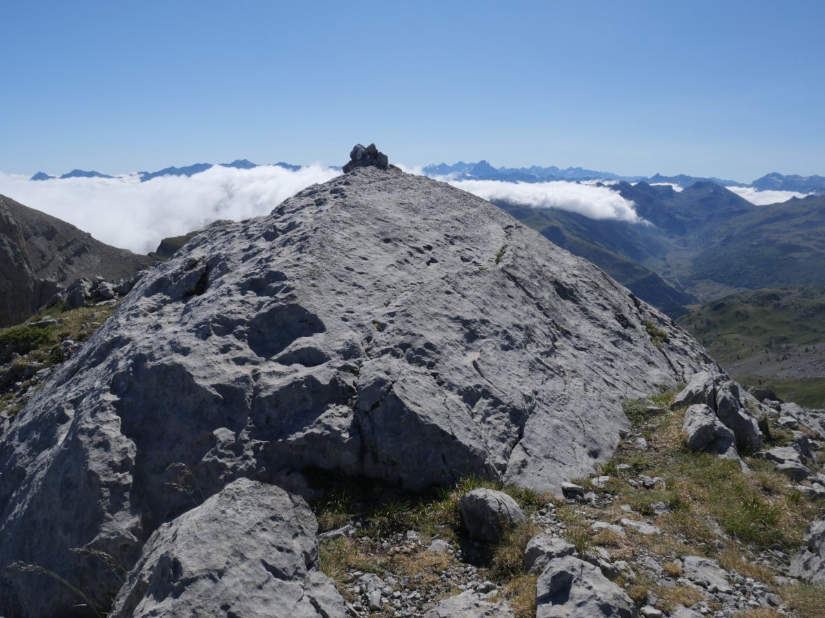 Anzotiello tontorra