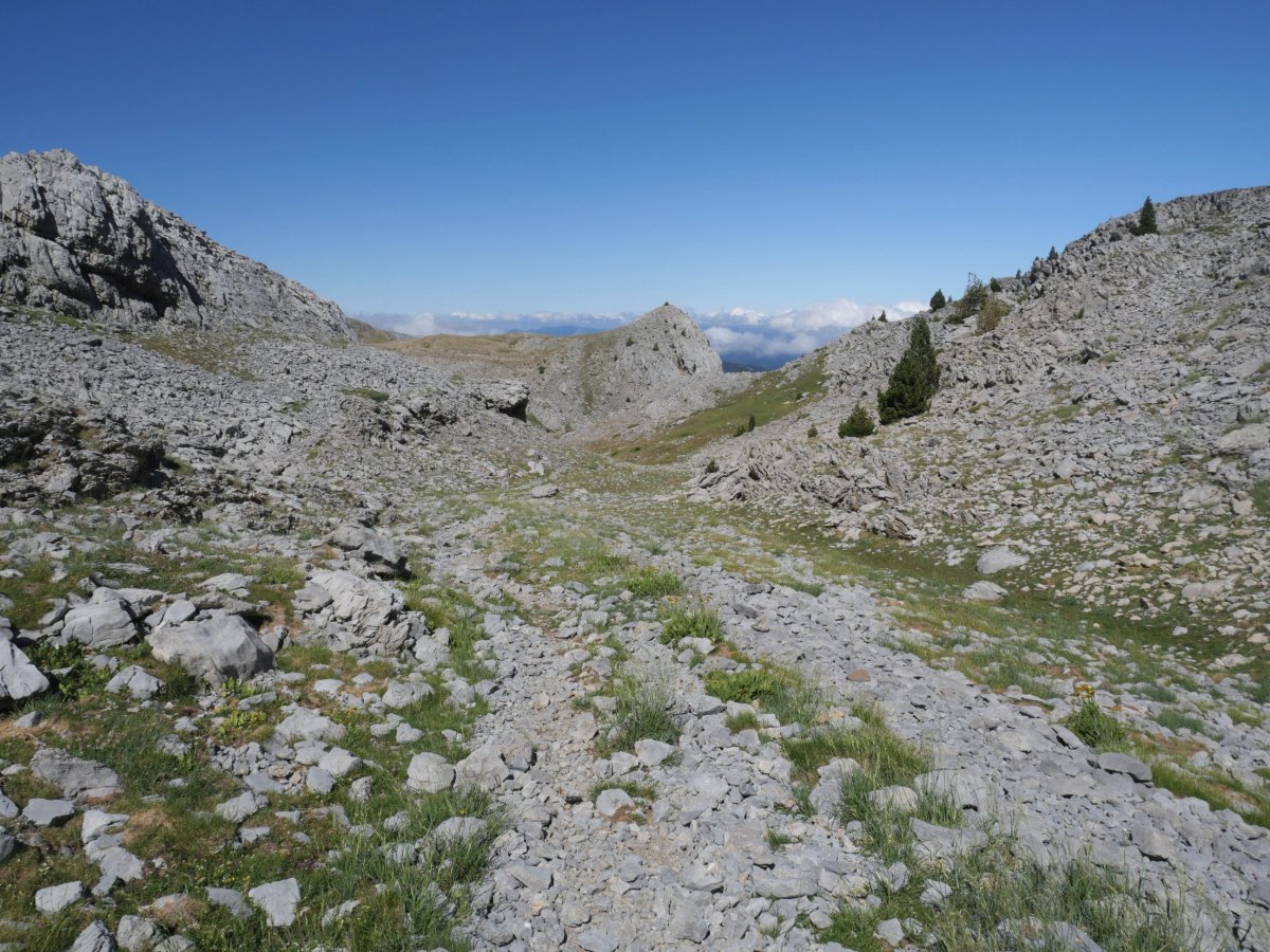 Anzotiello lepoko bidea