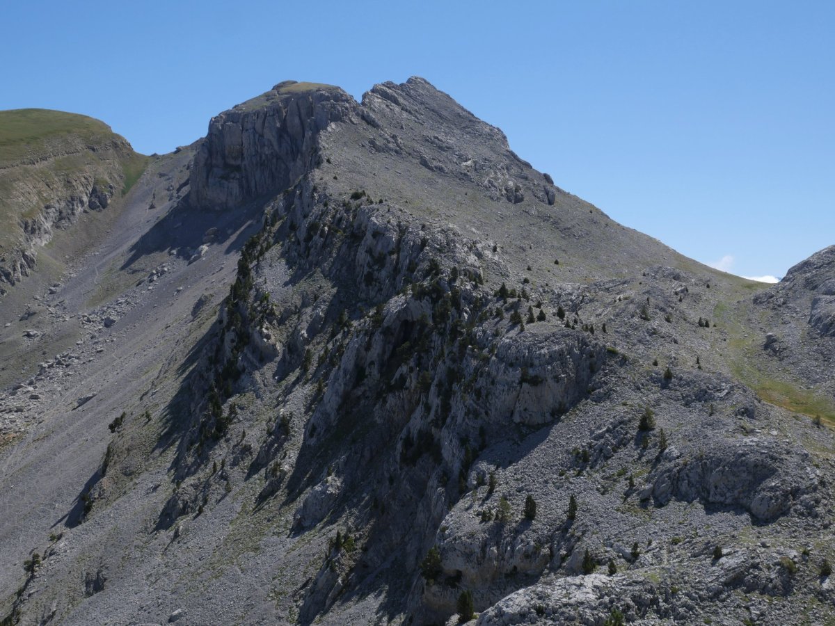 Anzotiello Mallo Pacotik